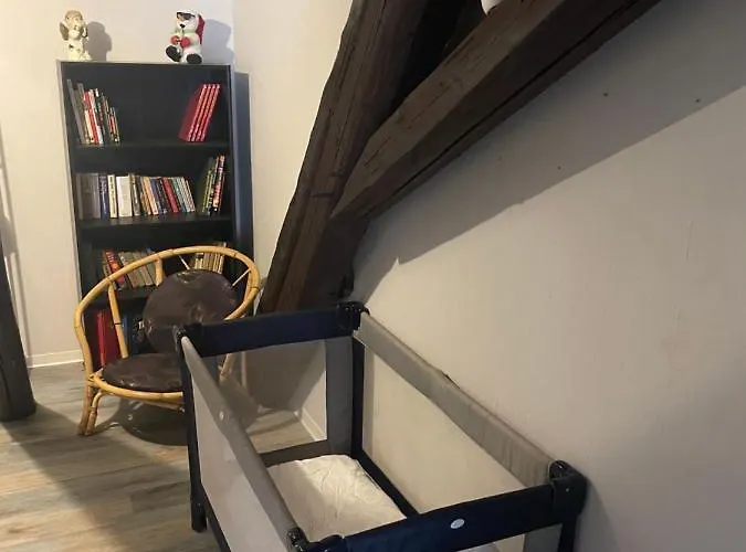 招待所 Zum Ewigen Rath 米尔豪森